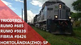 Trem graneleiro com tricotrol vazio passando em Hortolândia(ZHO)-SP.