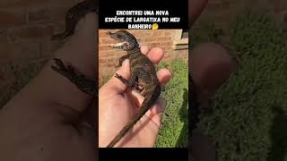 LARGATIXA EXÓTICA! #funny #funnyshorts #memes #funnyvideo #shortsvideo