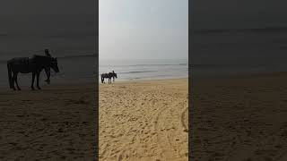 CHANDRABHAGA BEACH IN ODISHA #shortvideo #khushi