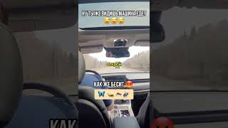 Зачем они врезаются? 🤷🏻 🤣