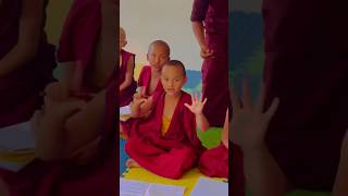 Tibetan monks primary school india #tibetan #tibet #lama #dalailama #buddhism