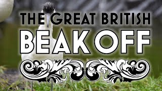 The Great British Beak Off 2020!