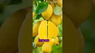 fruit split #lemon #fruit #funplay #youtubeshorts