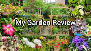 My Garden Review🌷||আমার ফুলের বাগান❤||Gardening video🌿||@helpfulgarden