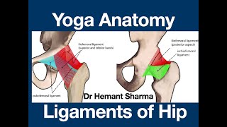 #Yoga #Anatomy of #Ligaments of #Hip - Dr Hemant Sharma - 8160088512