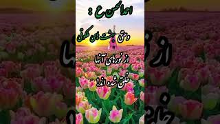 سجده حقیقی گردن نهادن به فرامین حجت‌های الهی است  #احمدالحسن_را_بشناس #احمد_الحسن_فرستاده_امام_مهدی