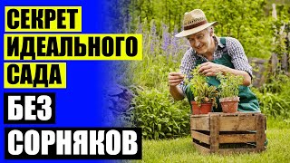 СОРНЯКИ ОСЕНЬЮ ИЛИ ВЕСНОЙ ⚫ БИОГАРД ОТ СОРНЯКОВ КУПИТЬ В ТЮМЕНИ ☑