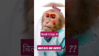 बिल्ली ने देखा (part 8) 😀😂 #shorts #comedy #funny #monkeycomedyvideo #mrbeast #mrchopravines #short