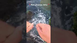 CANT believe we CAUGHT THIS! Fishing PORT ARANSAS JETTY! #fishing #jetty #fish #texasbeach