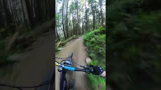 North Shore Racing! #mountainbike #bike #enduro