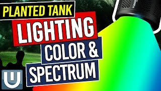 Color Spectrum in Planted Tank Lighting - Planted Aquarium Lighting Guide - Part 3