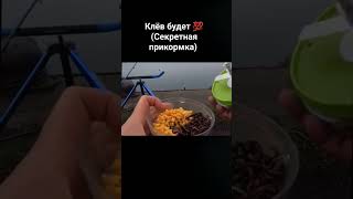 секретная прикормка