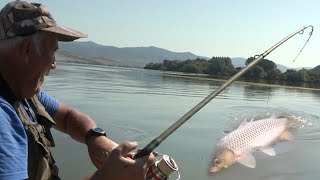 Pecanje šarana na Dunavu - Boško Šunjkic - Majstor za šarane | Fishing carp