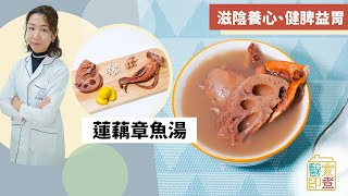 湯水食譜｜中醫推薦冬日必備蓮藕章魚湯 滋陰養心、健脾益胃   Yahoo TV