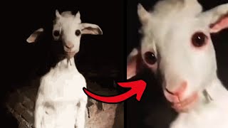 Skinwalkers Caught Pretending To Be Animals Part 2