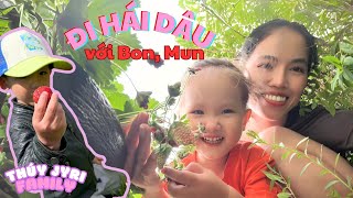 Cùng hái Dâu Tây ở Phần Lan, và mua xe đạp mới cho Bon - Thúy Jyri Family Phần Lan