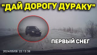 Автоподборка "Дай Дорогу Дураку"🌨Первый Снег#436