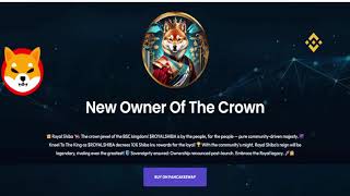 RoyalShiba projesi detaylı inceleme I RoyalShiba token al pasif gelir olarak Shiba kazan ! ! !