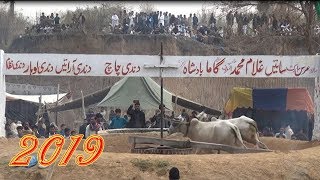 BULL RACE(Tombi) Dandi Saraialam gir 2019 part 1