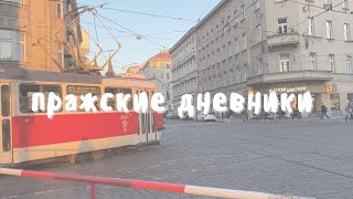 VLOG // неделя из жизни