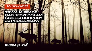 Paulina Hennig-Kloska: Trwają prace nad szczegółami ścisłej ochrony 20 proc. lasów