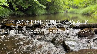 [4K] Susquehannock State Forest, Pennsylvania, US - Peaceful creek walk in the woods