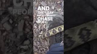 Rattlesnake On My FOOT