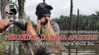 MERANDUK DI RAWA ANGKER!!...