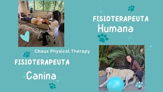 Que me llevo a empezar mi certificación como fisioterapeuta canina?