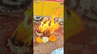 720 vattula deepam #shorts #365vattulu #deepam #kartikamasam #mahadev #shivshankar #explore#yt#meb4u