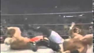 Wrestler Breaks Leg