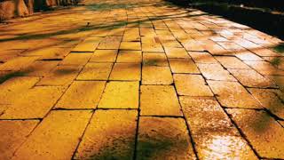 Hidden Meanings of Follow the Yellow Brick Road