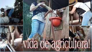 Vlog no sitio| Tirando leite e cuidando das mimosas|Minha vida de agricultora!