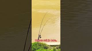 Umpan roti cari mama patin..(sungai langat) #mancing #singailangat #ikanpa #umpanroti