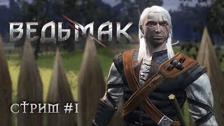 ПОЗНАЕМ АЗЫ | Ведьмак 2007  | The Witcher | Прохождение | Стрим 1