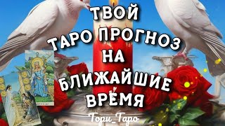 ✨💯✨Что Тебя ожидает в течении 10 дней⁉️🃏Таро прогноз. Расклад на 2 варианта.