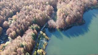 SUPER FOLIAGE - LAGO PRANDA