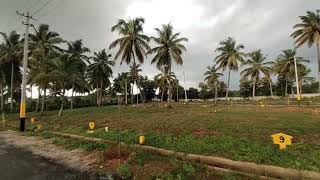 sites for sale  E-Khatha property in #Mysore  ( 9110861228 )