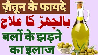 बलों के झड़ने का इलाज| بالچھڑ کا علاج |ज़ैतून के फायदे | Bazm E Ruhaniyat Officel