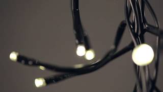 Add A Unique Flare With Versaline® 3-Channel Hanging Crab Lights