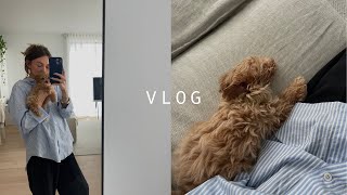 VLOG | Introducing the 3 of us