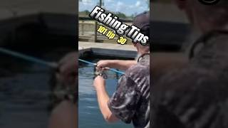 Fishing Tips no 30 Catfishing #shorts