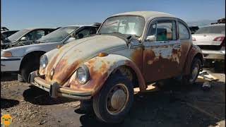 From Colorful to Forgotten: The Heartbreaking Beauty of Neglected Volkswagen Beetles