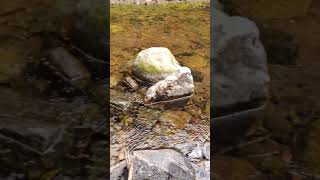 Varambadi Falls - Yercaud