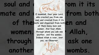 Fear Allah | the Creator of All |Quran Verse of the Day | English Translation  #quran #islam #short