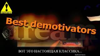 Русские демотиваторы про авто. КЛАССИФИКАЦИЯ ПЕШЕХОДОВ... best Demotivators.