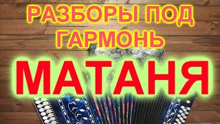 РАЗБОР ПОД ГАРМОНЬ! МАТАНЯ!