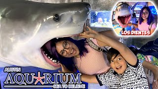 Visitamos el Acuario de Austin | Los Animales nos Quieren Comer | Family Juega