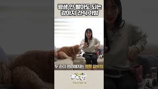 사용도 관리도 '개'편한 간식가방 #집사의개꿀템 #골든두들