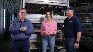 Farm to Plate: Educating Food Industry Professionals about Australian Mushrooms